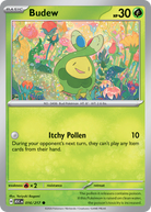 Budew - Ascended Heroes #16